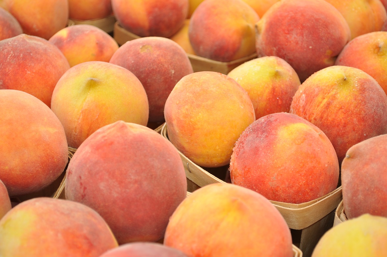 peaches  fruit  market free photo