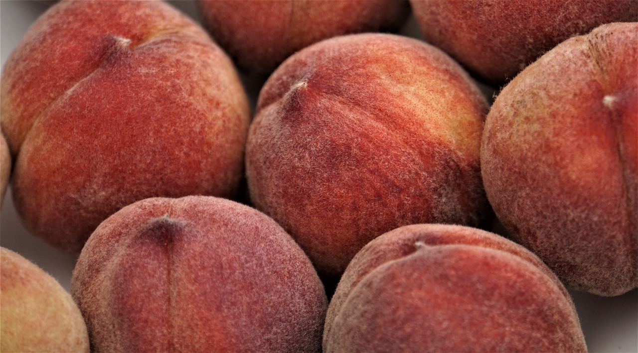 peaches  fruit  healthy free photo