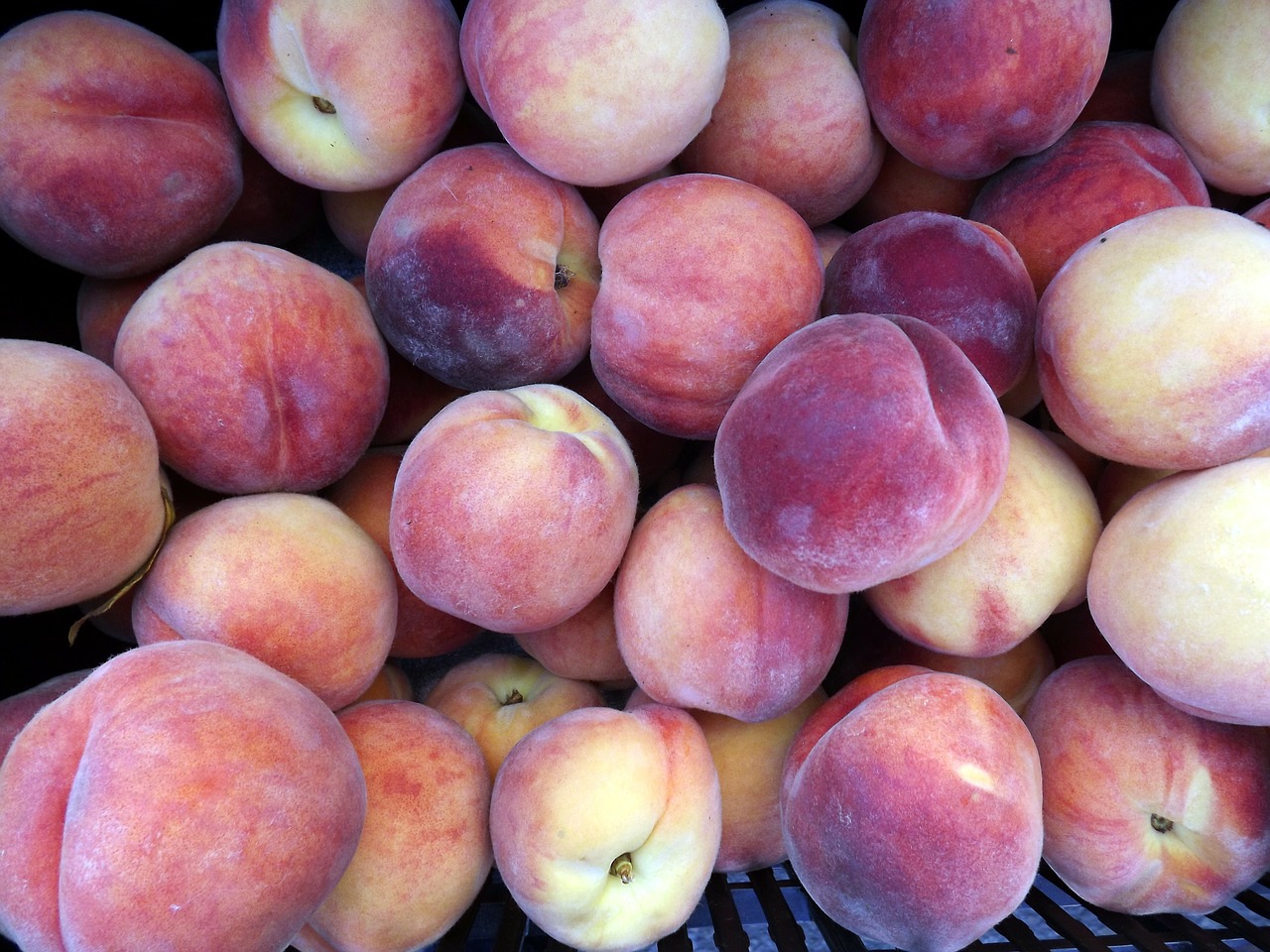 peaches fruits food free photo