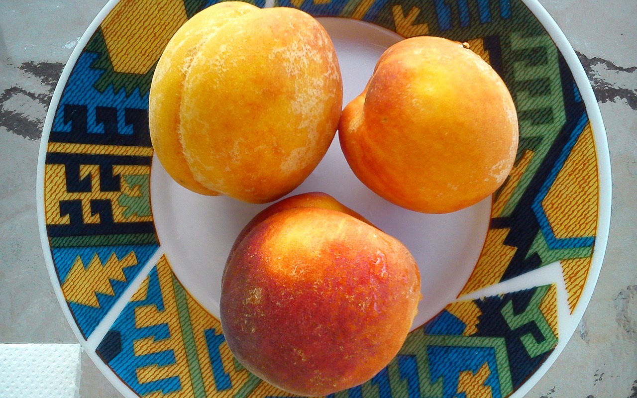 peaches fruits dish free photo