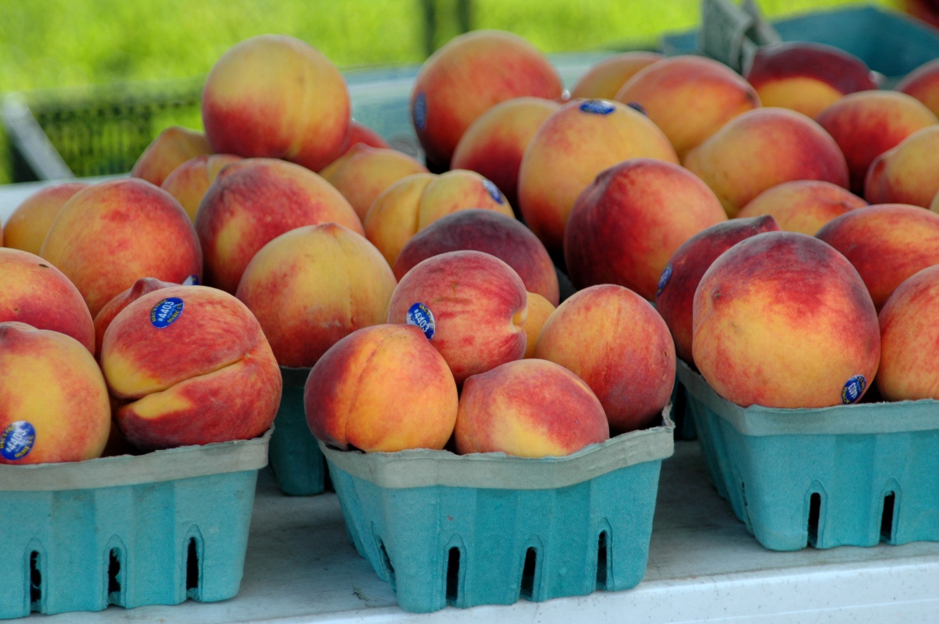 peach fruit diet free photo