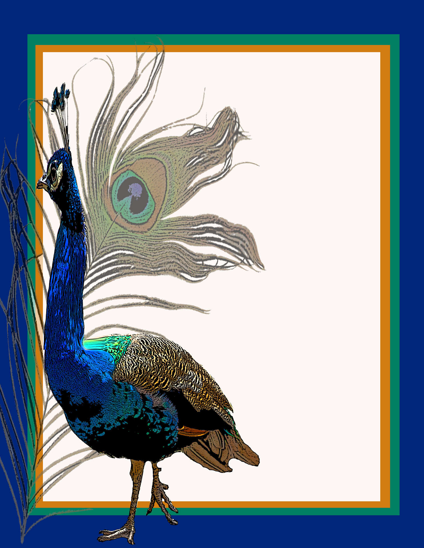 peacock feather invitation free photo
