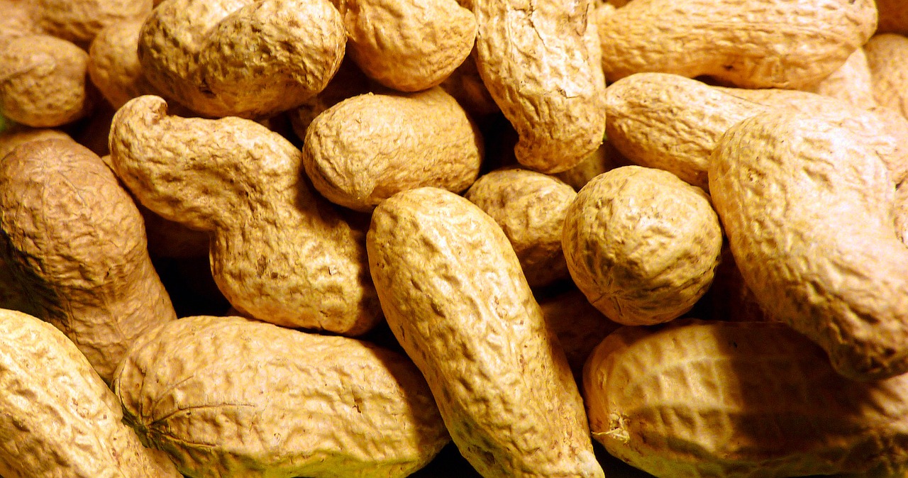 peanut roasted nuclear free photo
