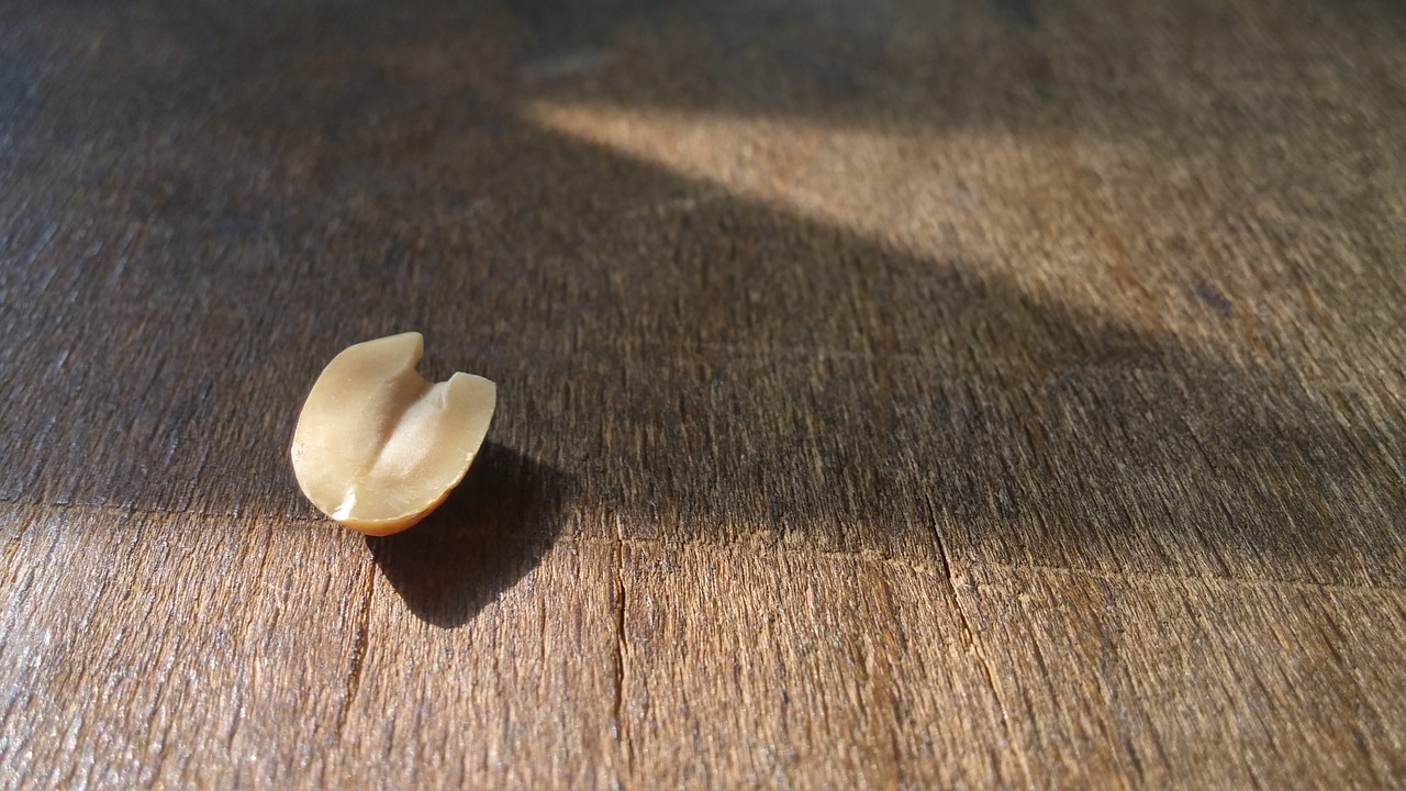 peanut desk wood free photo