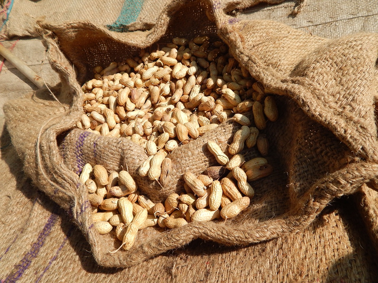 peanut peanut bag raw peanut free photo