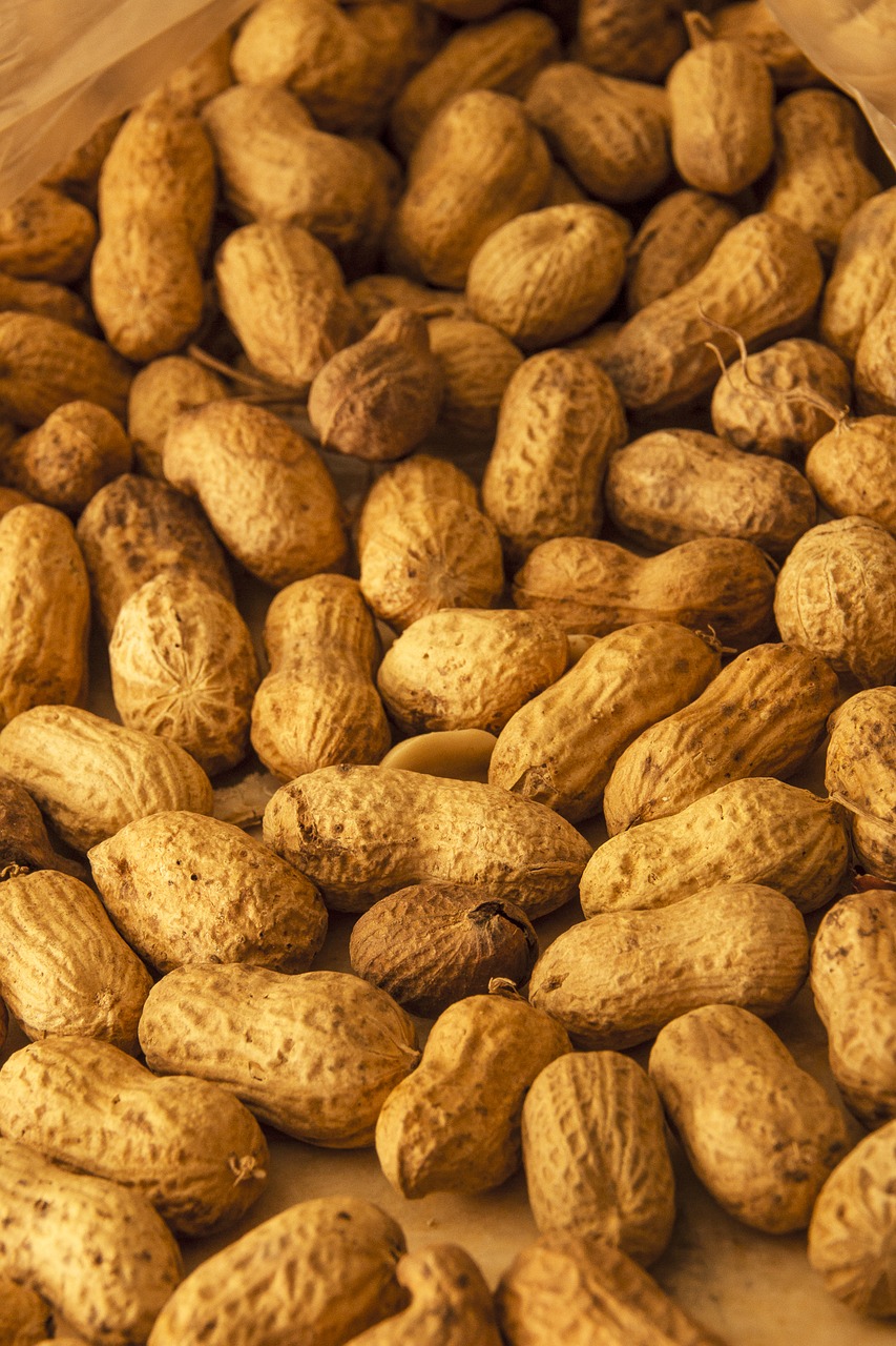 peanut peanuts dried fruit free photo