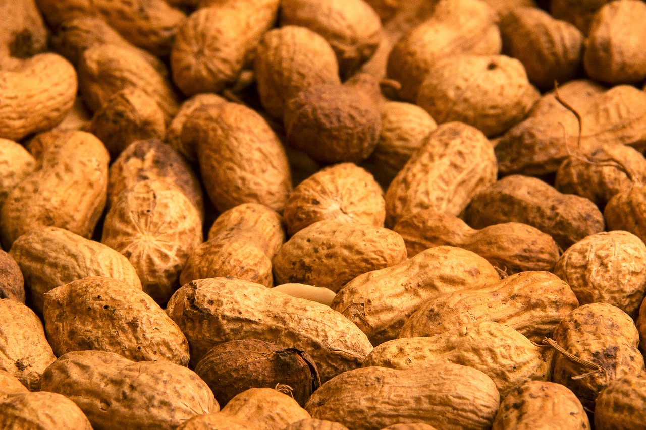 peanut peanuts dried fruit free photo