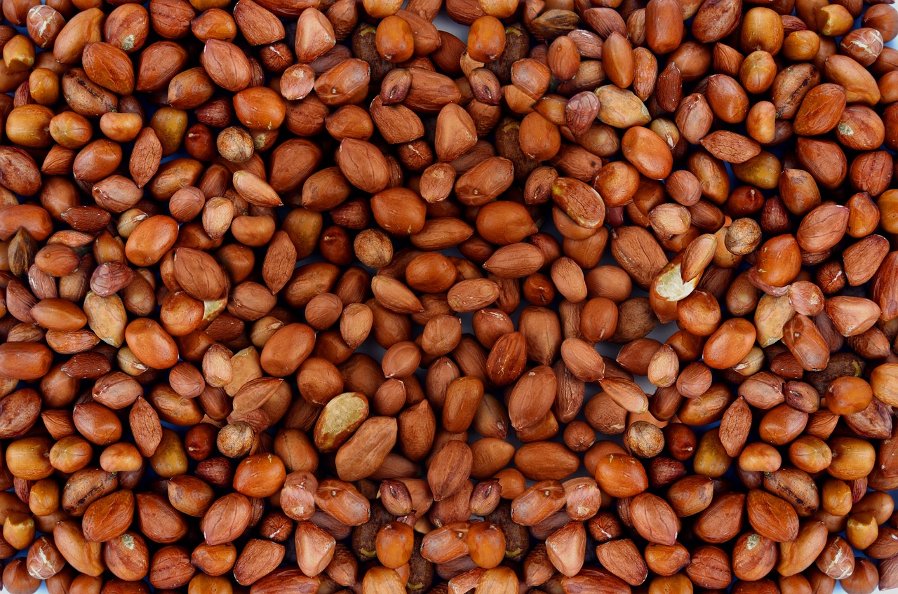 peanut  nuts  food free photo