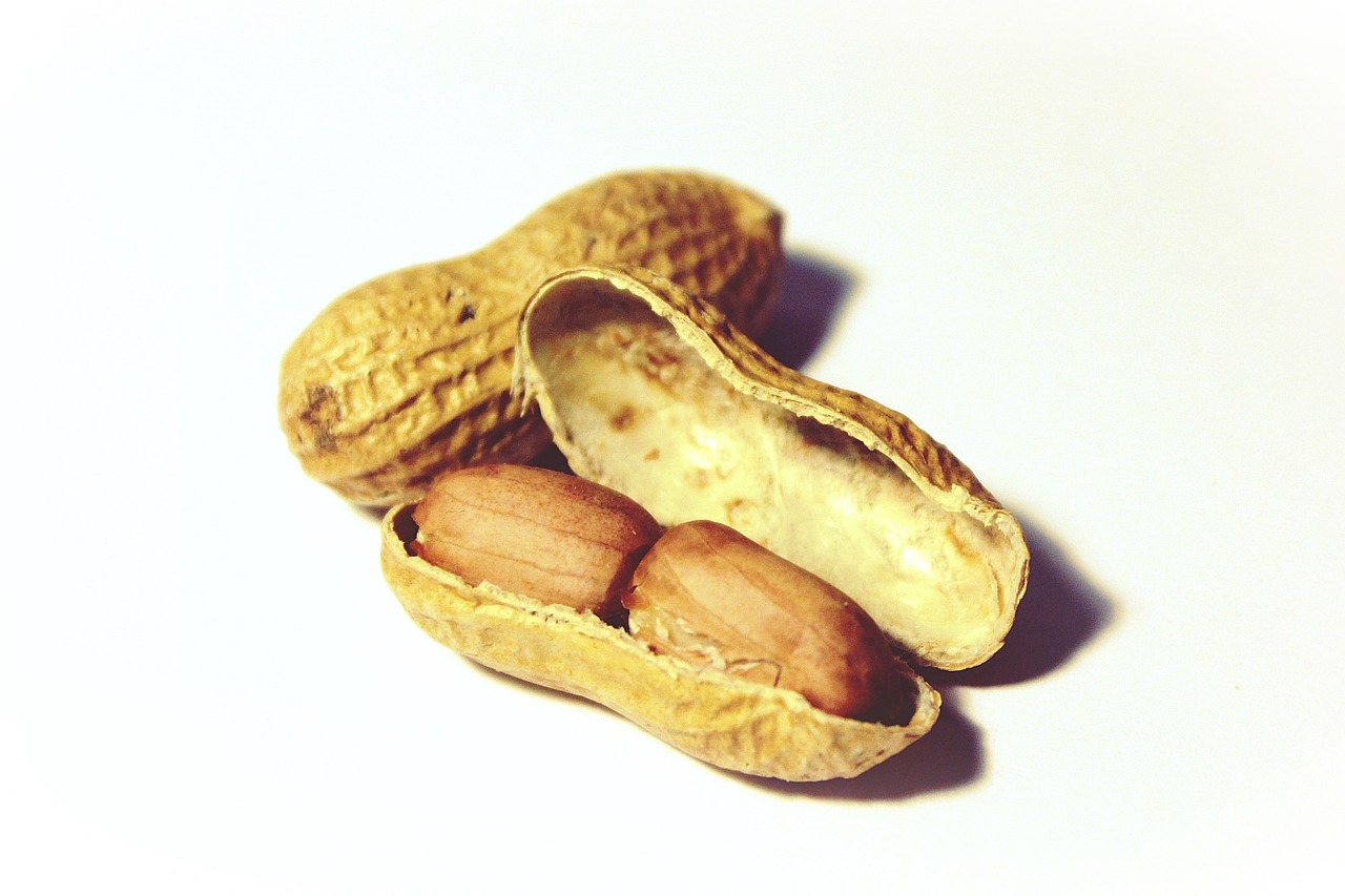 peanuts nuts snack free photo
