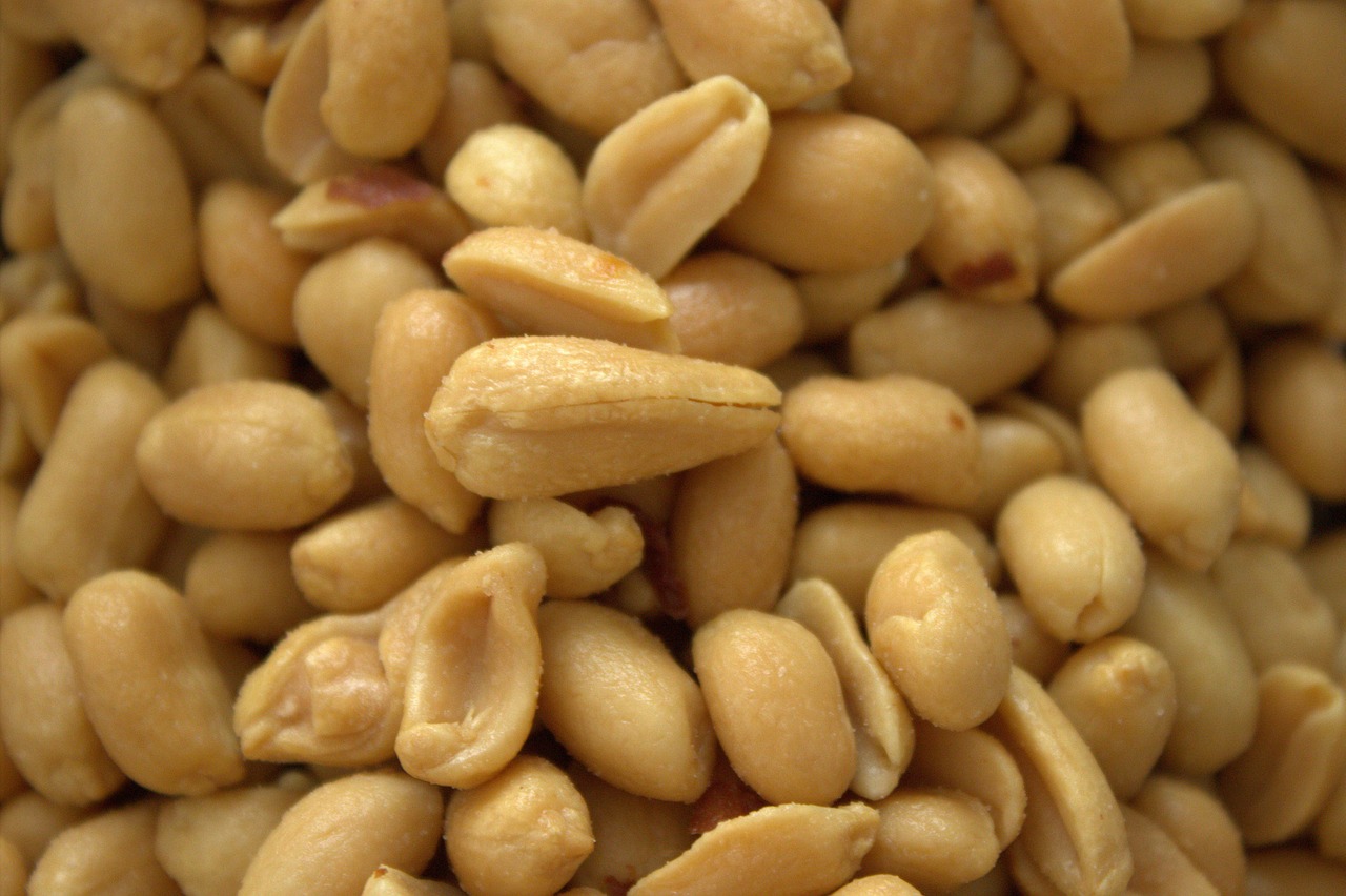 peanuts snack nuts free photo