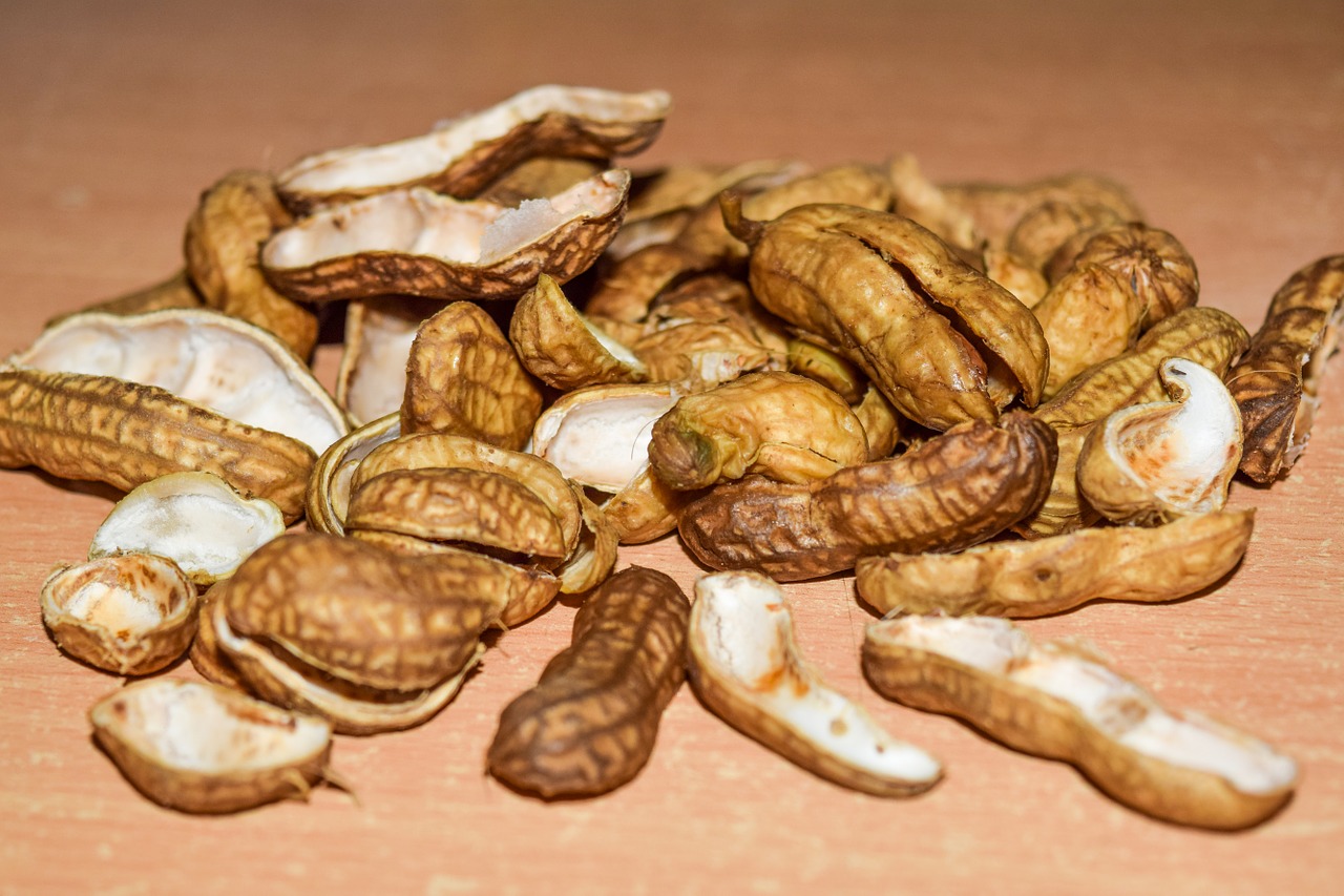 peanuts nutshells nuts free photo