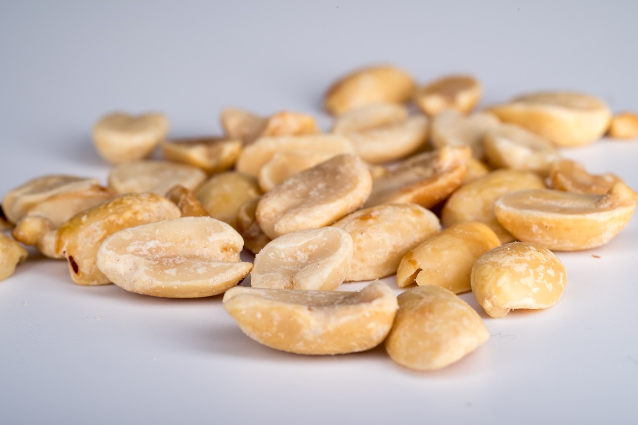 peanuts nuts placer free photo