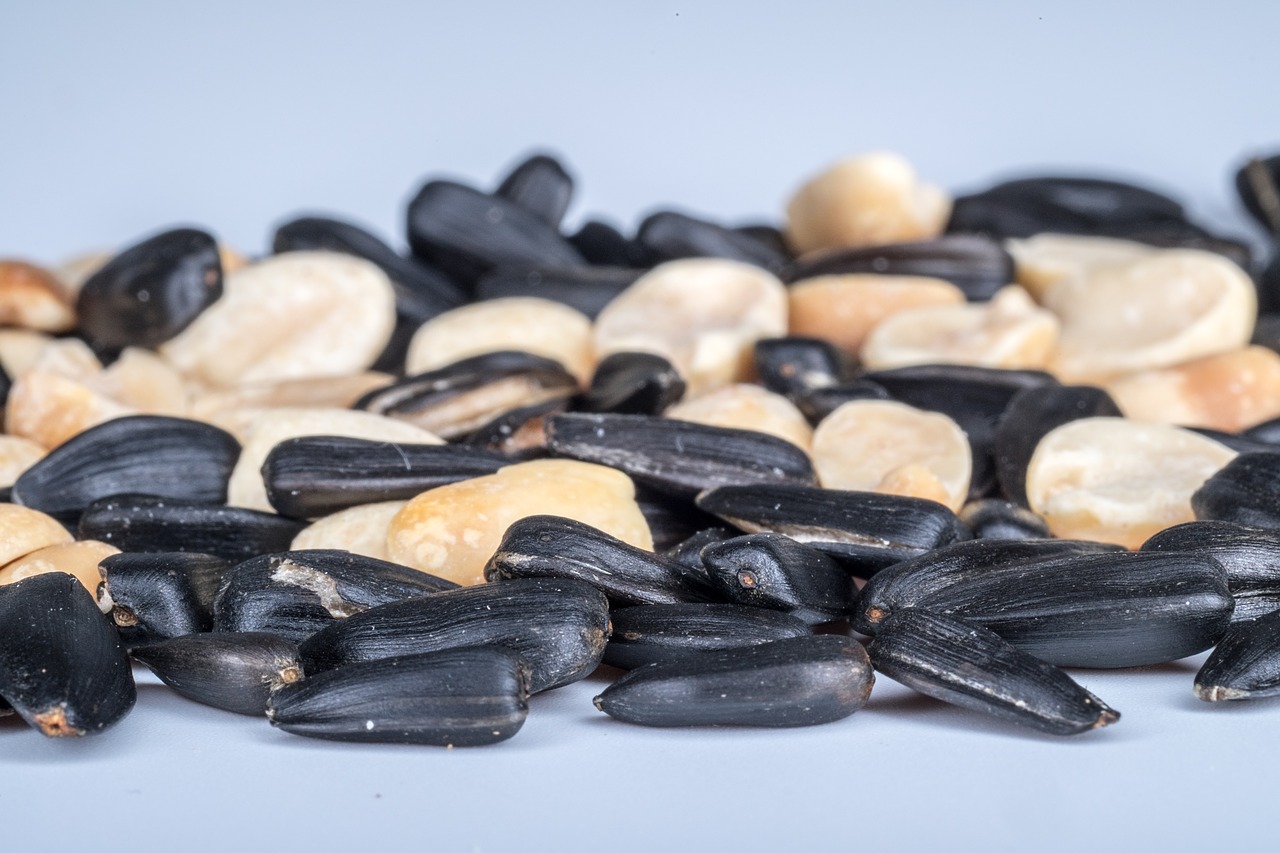 peanuts seeds sunflower seeds free photo