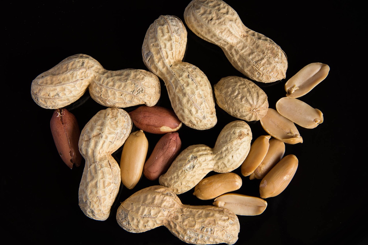 peanuts black background food free photo