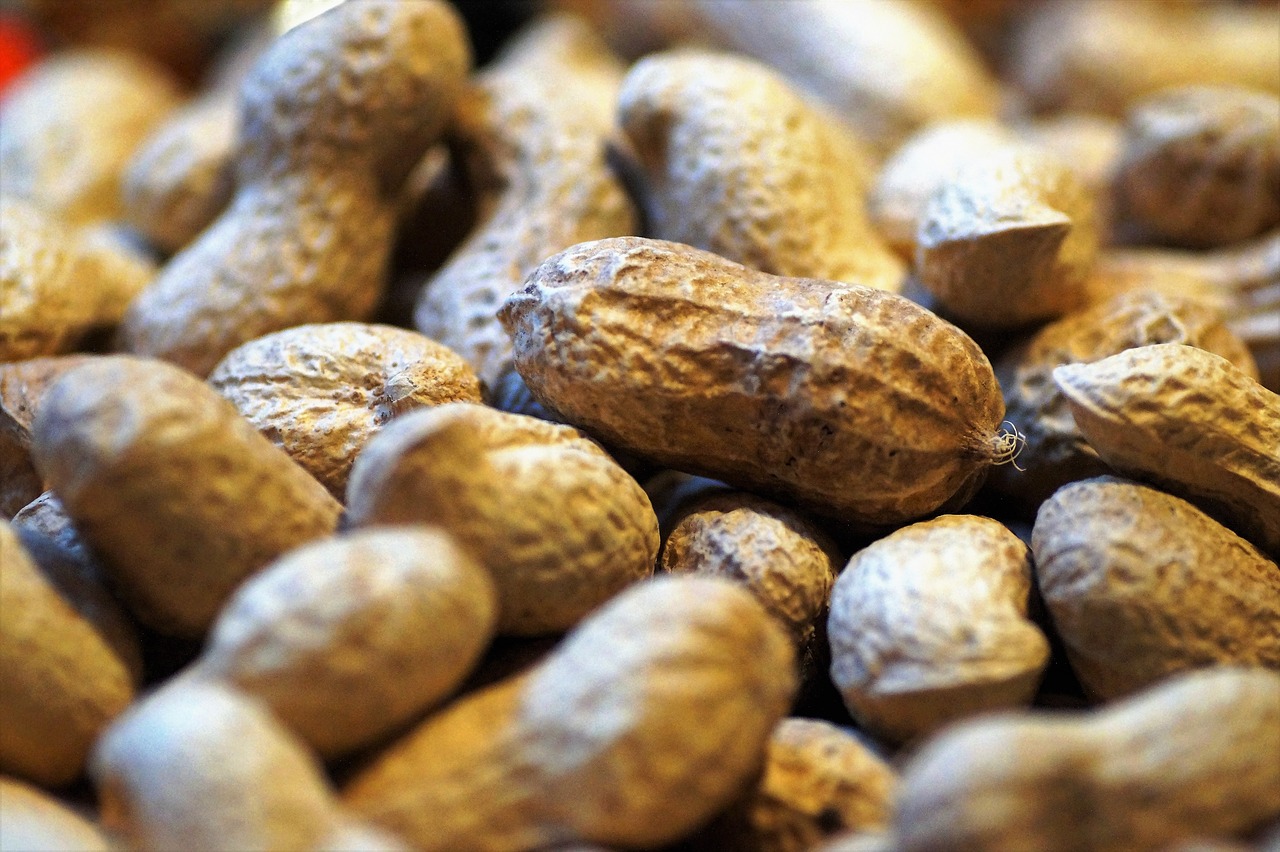 peanuts groundnuts nut free photo