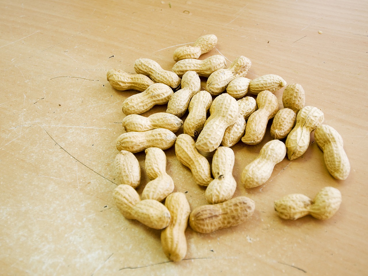 peanuts macro eat free photo