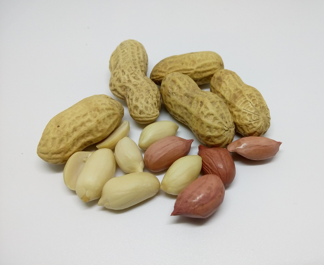 peanuts nuts dry fruit free photo