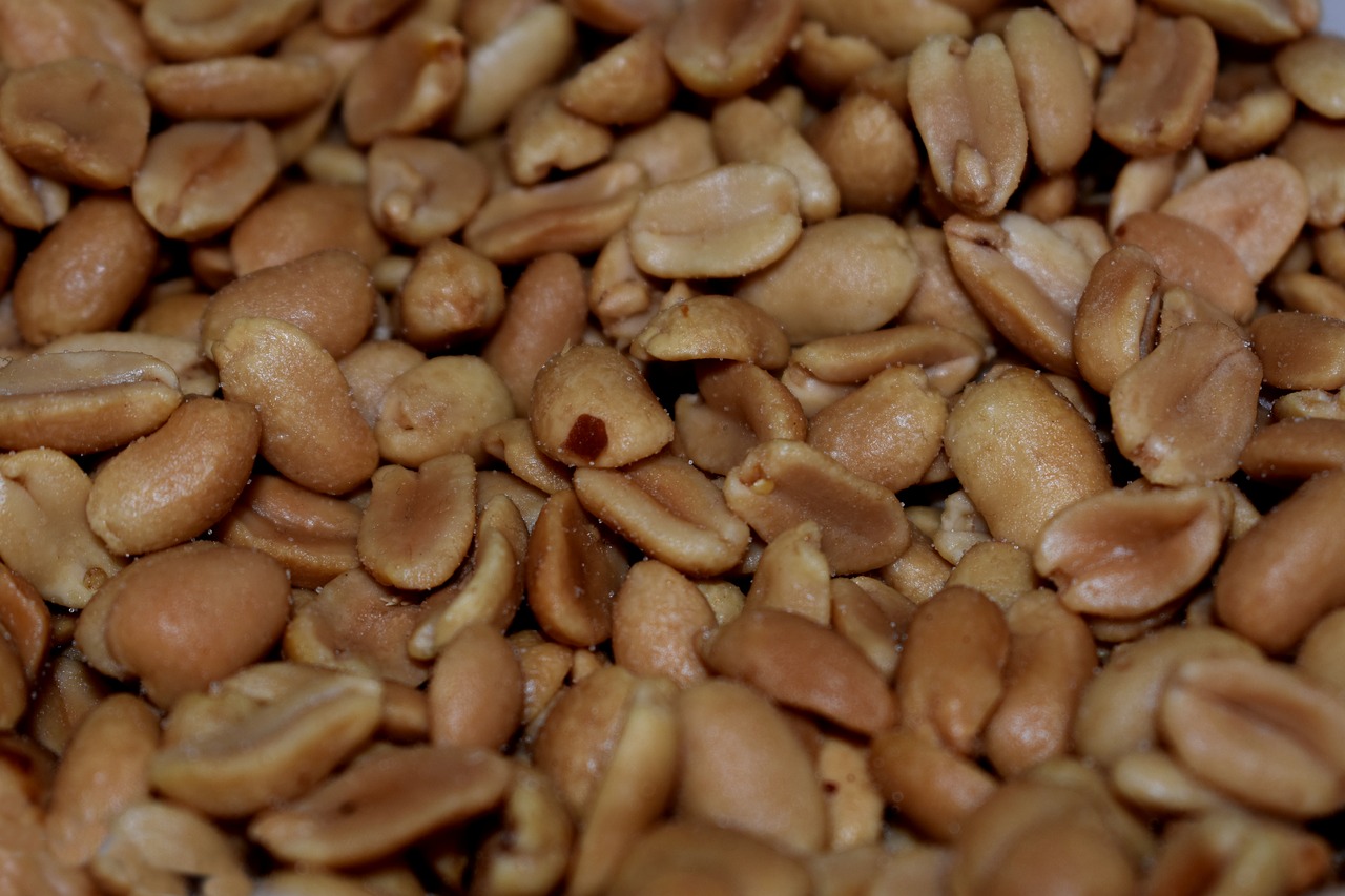 peanuts  nuts  snack free photo