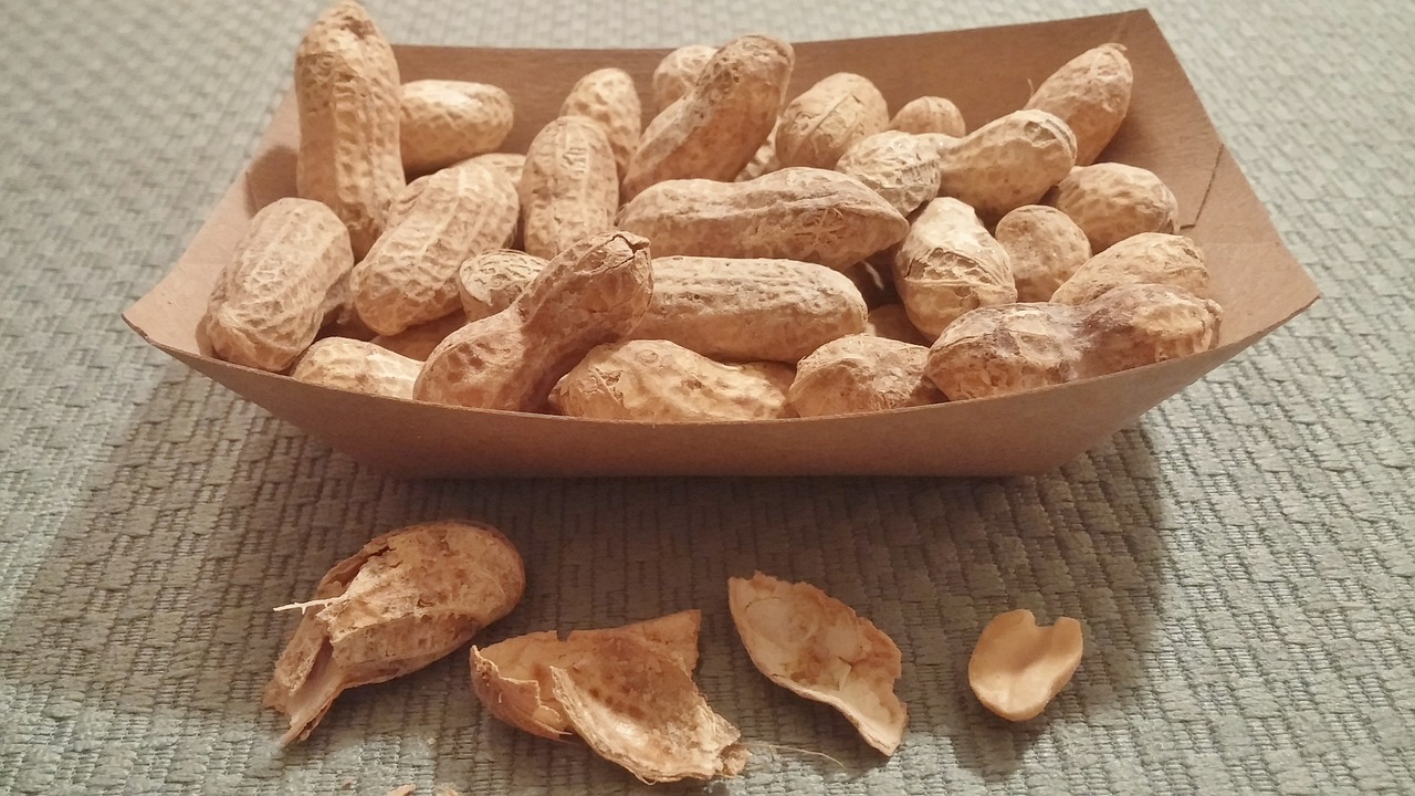 peanuts nuts food free photo