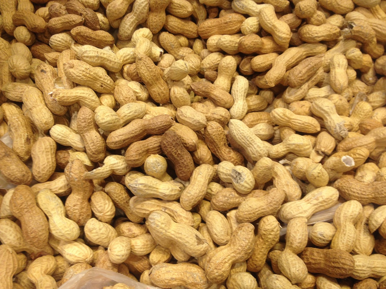 peanuts legume healthy free photo