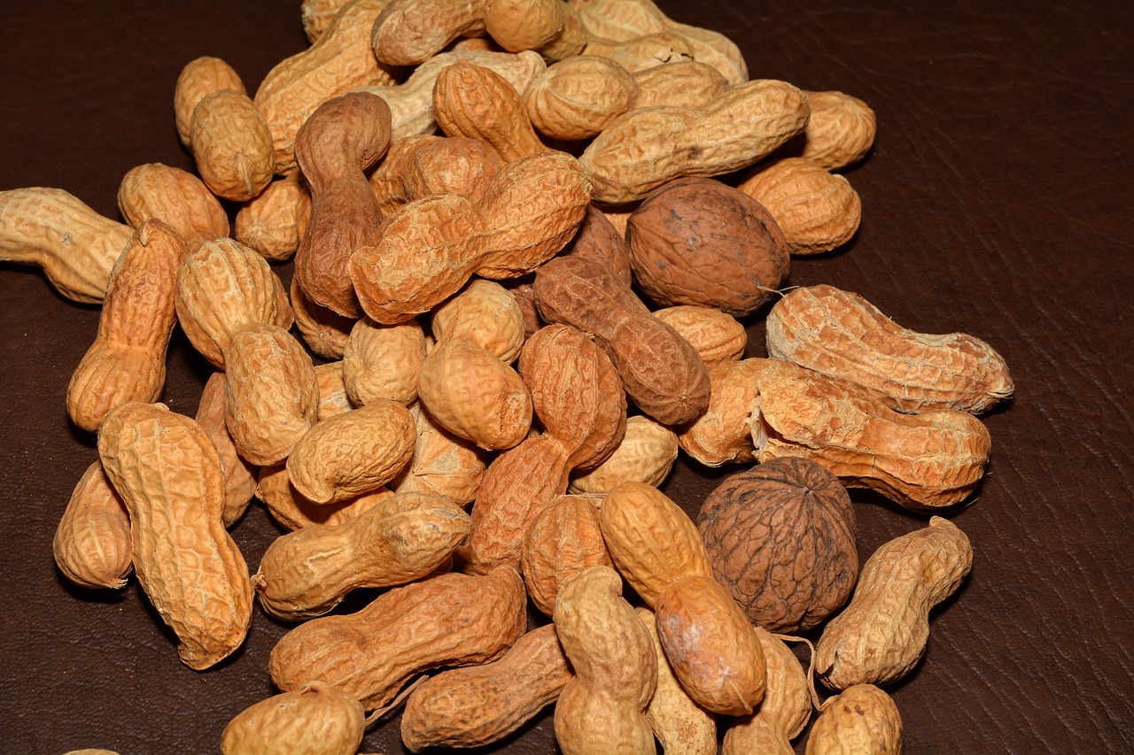 peanuts nuts walnuts free photo