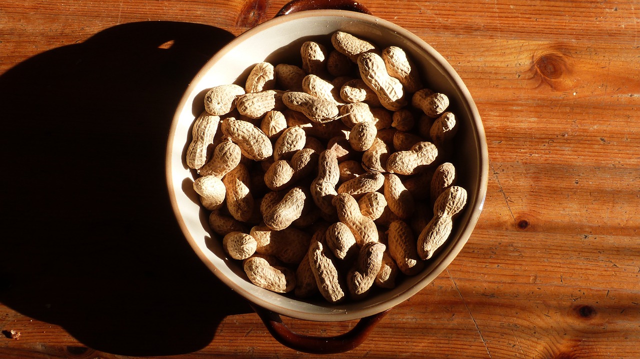 peanuts shell table free photo