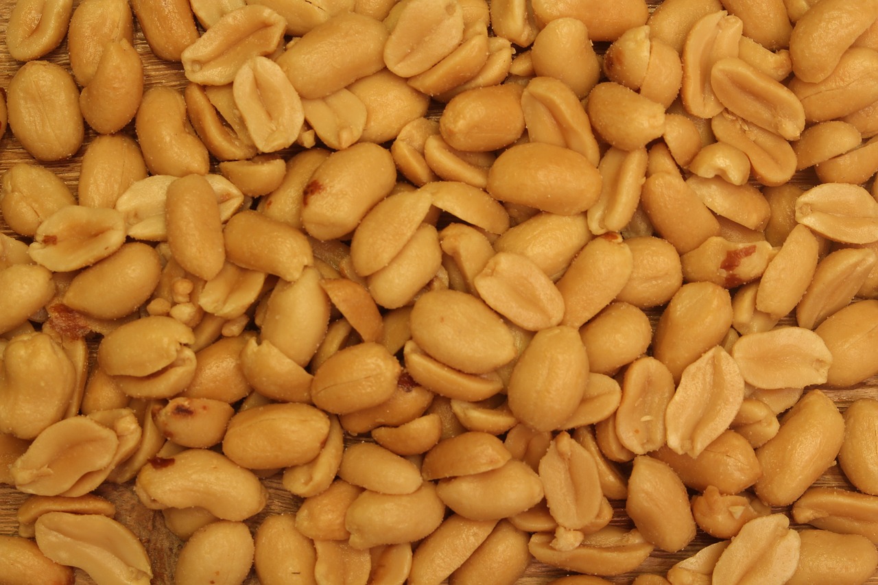 peanuts shell nuts free photo