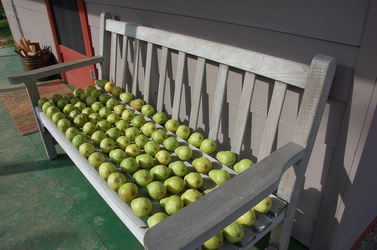 pears pears on bench fruit free photo