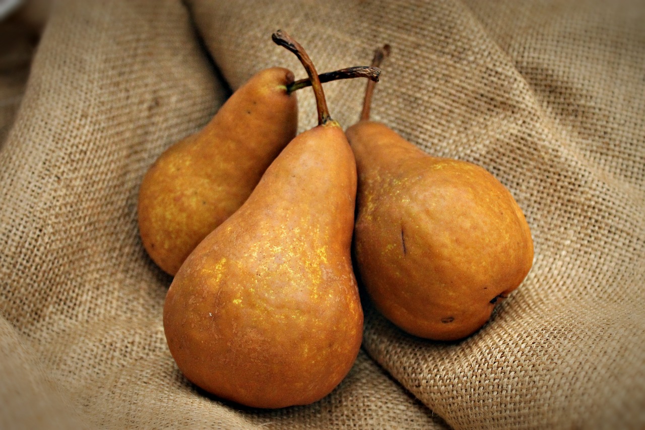 pear fruit three free photo