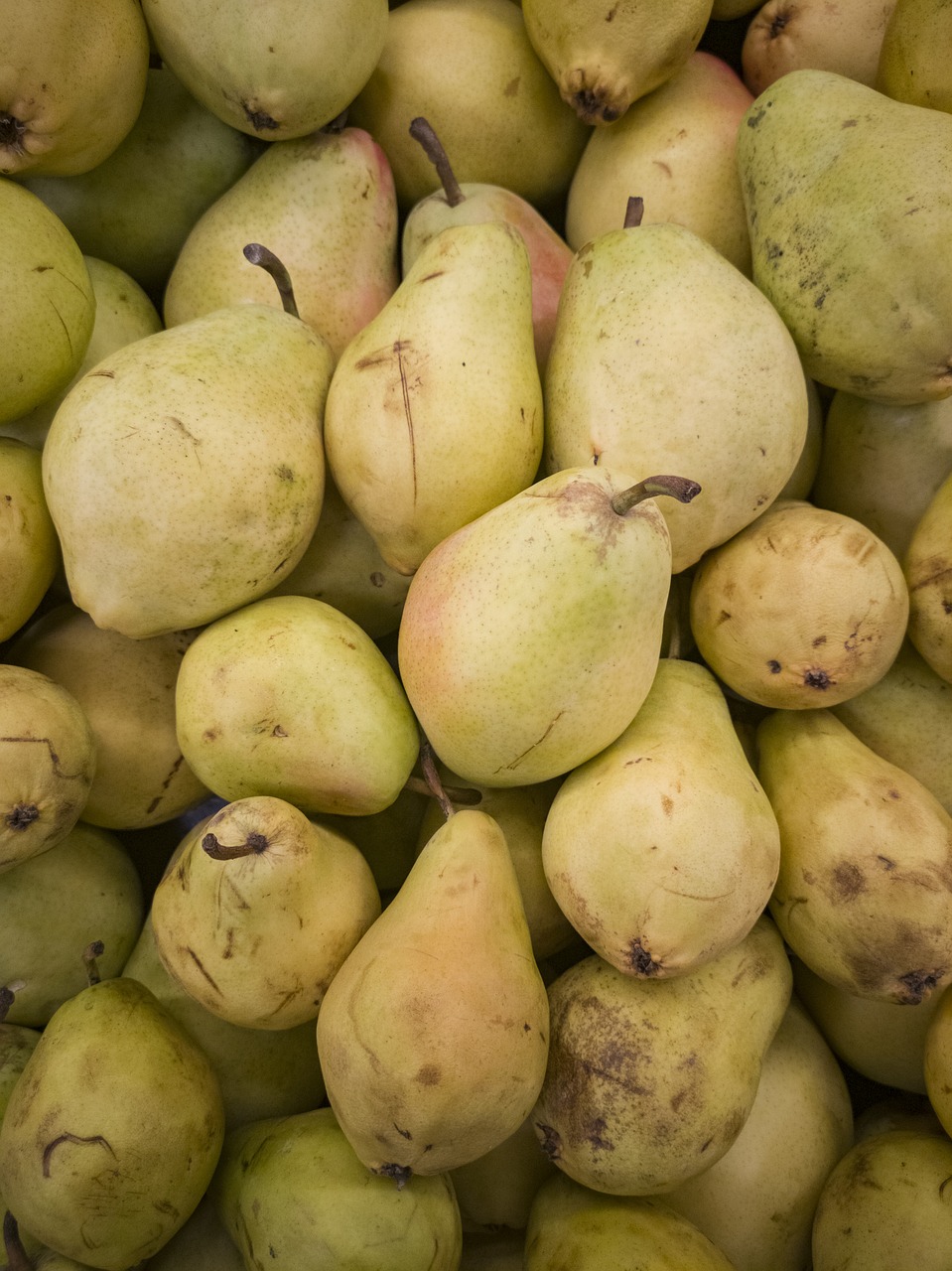 pear  yellow  market free photo