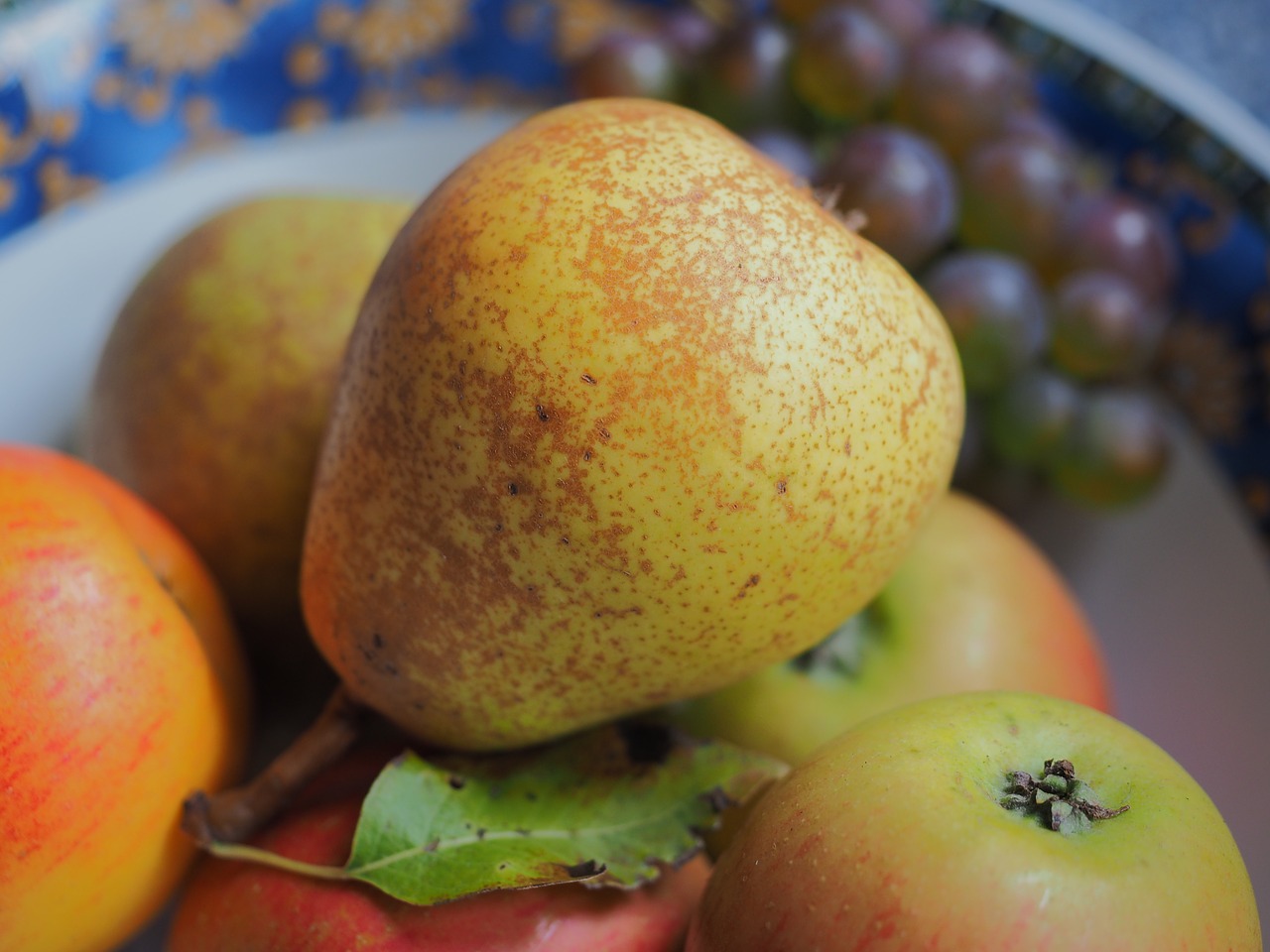 pear fruit fruits free photo