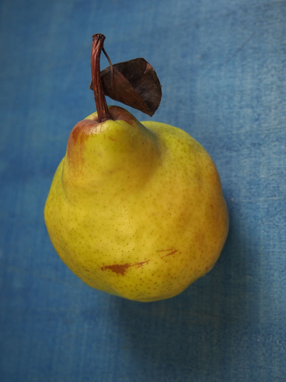 pear fruit pome fruit free photo