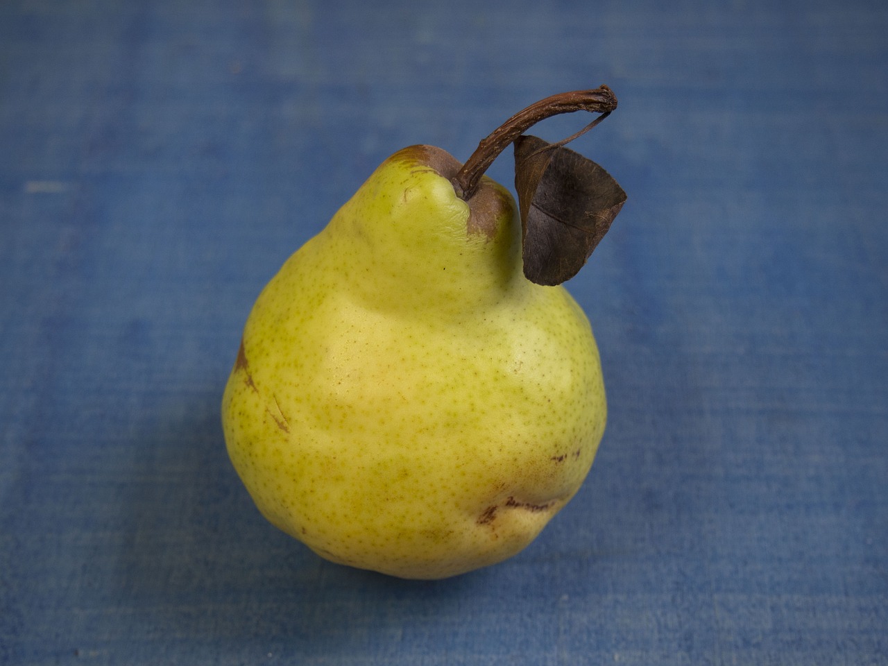 pear fruit pome fruit free photo