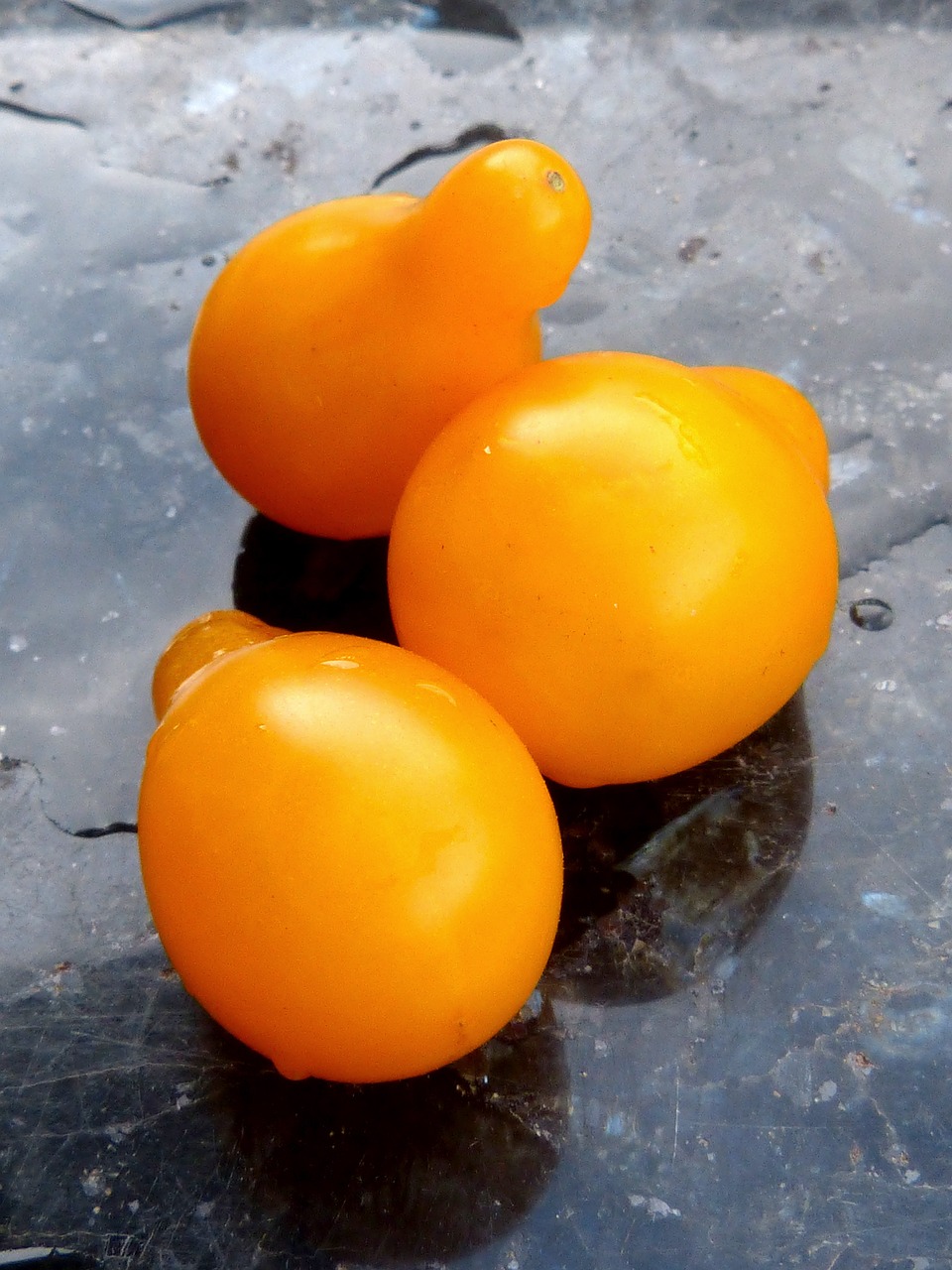 cherry tomatoes pear yellow free photo