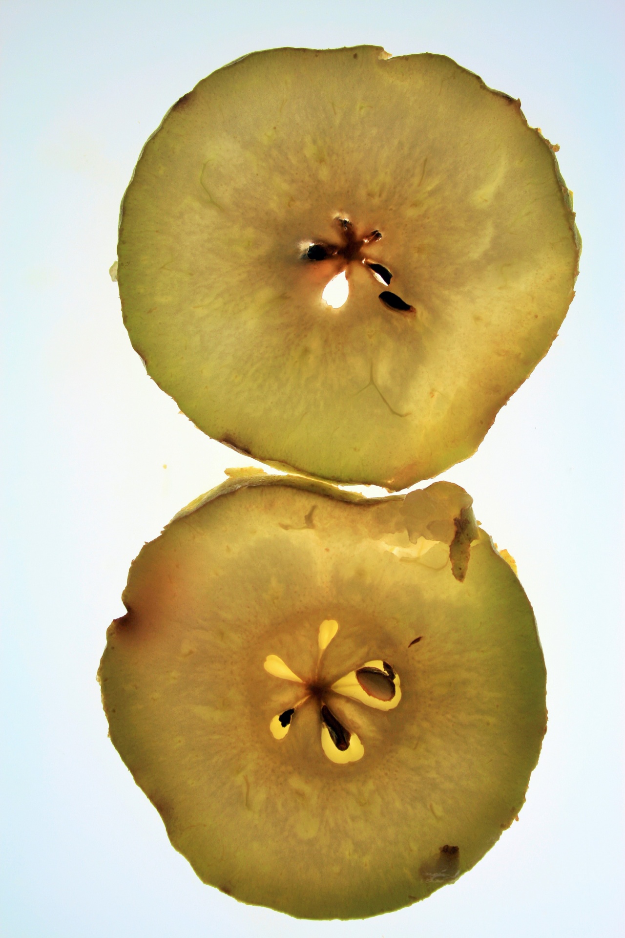 fruit slices pear free photo
