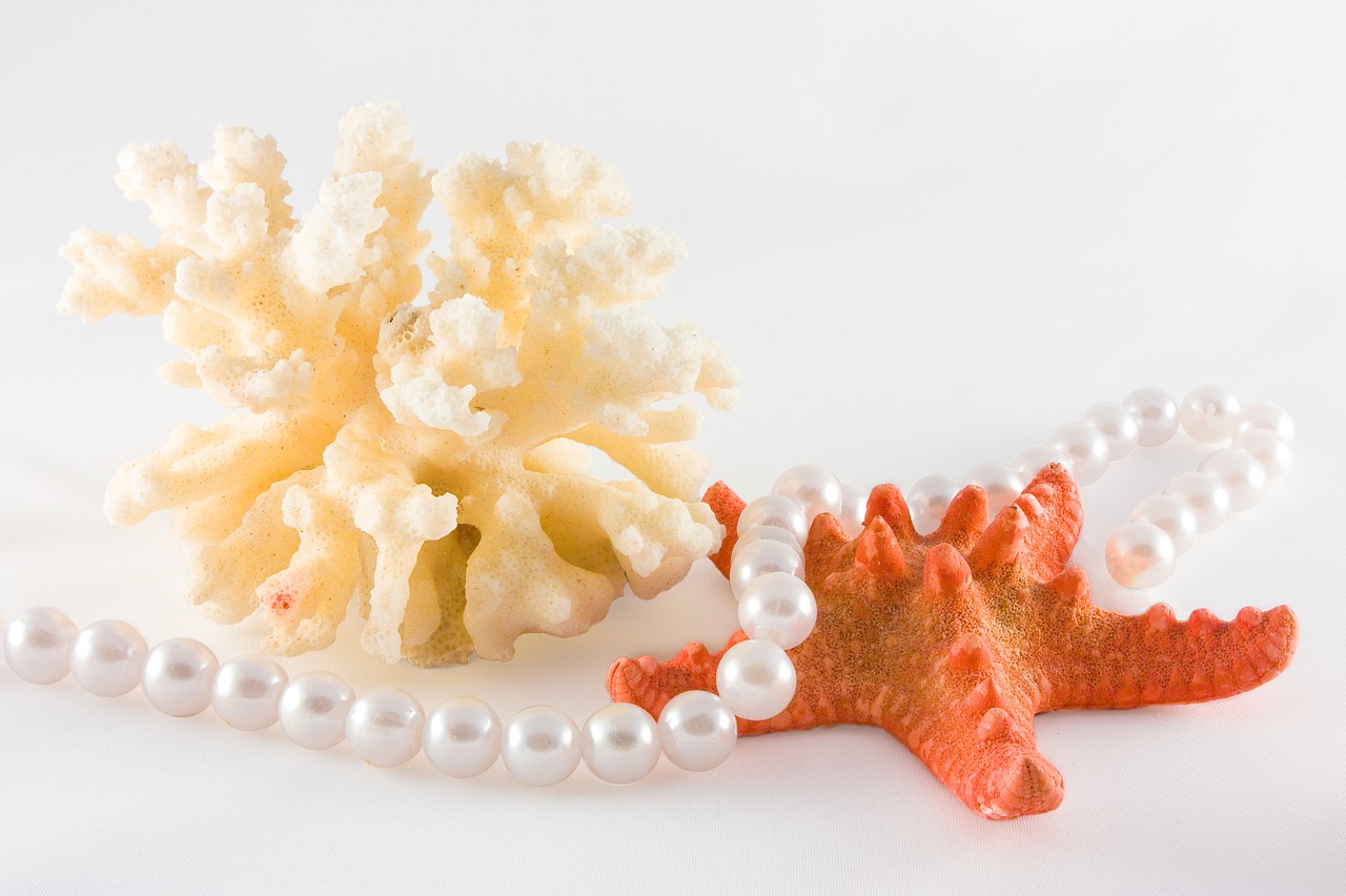 pearl starfish coral free photo