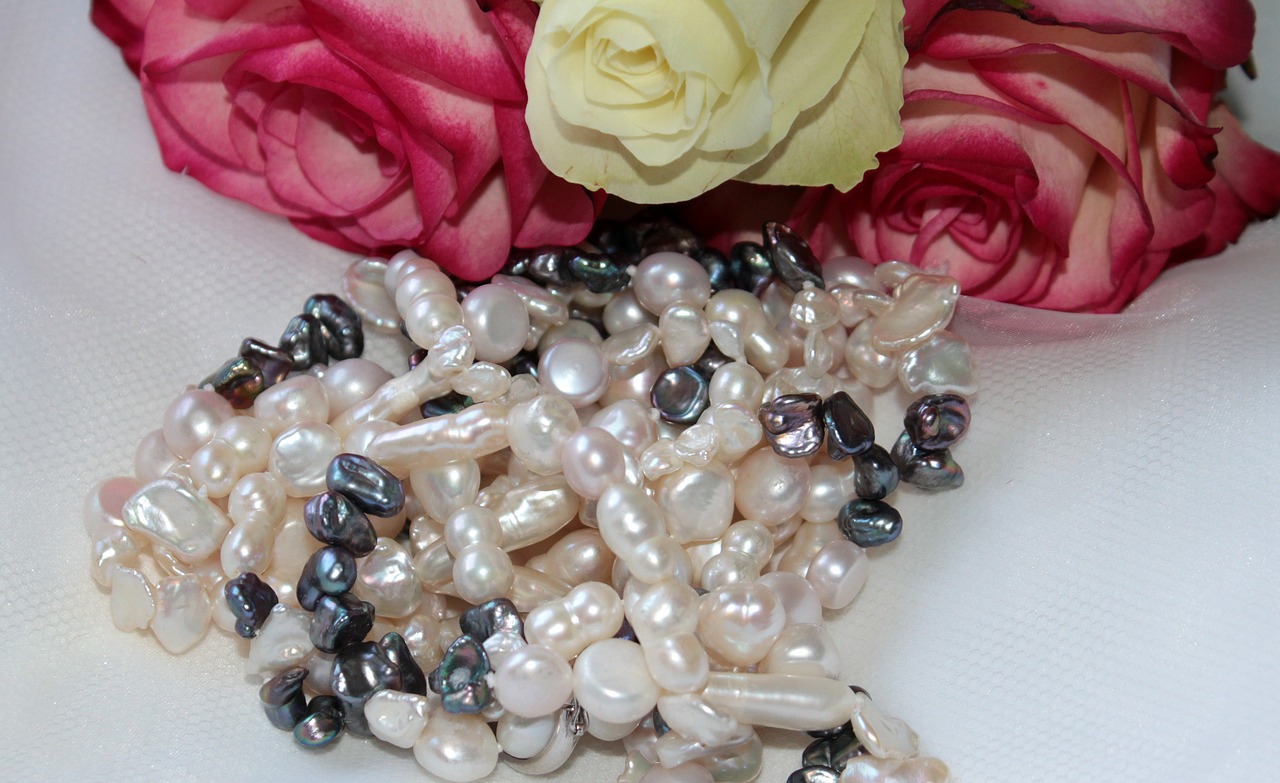 chain pearl necklace pearl white free photo