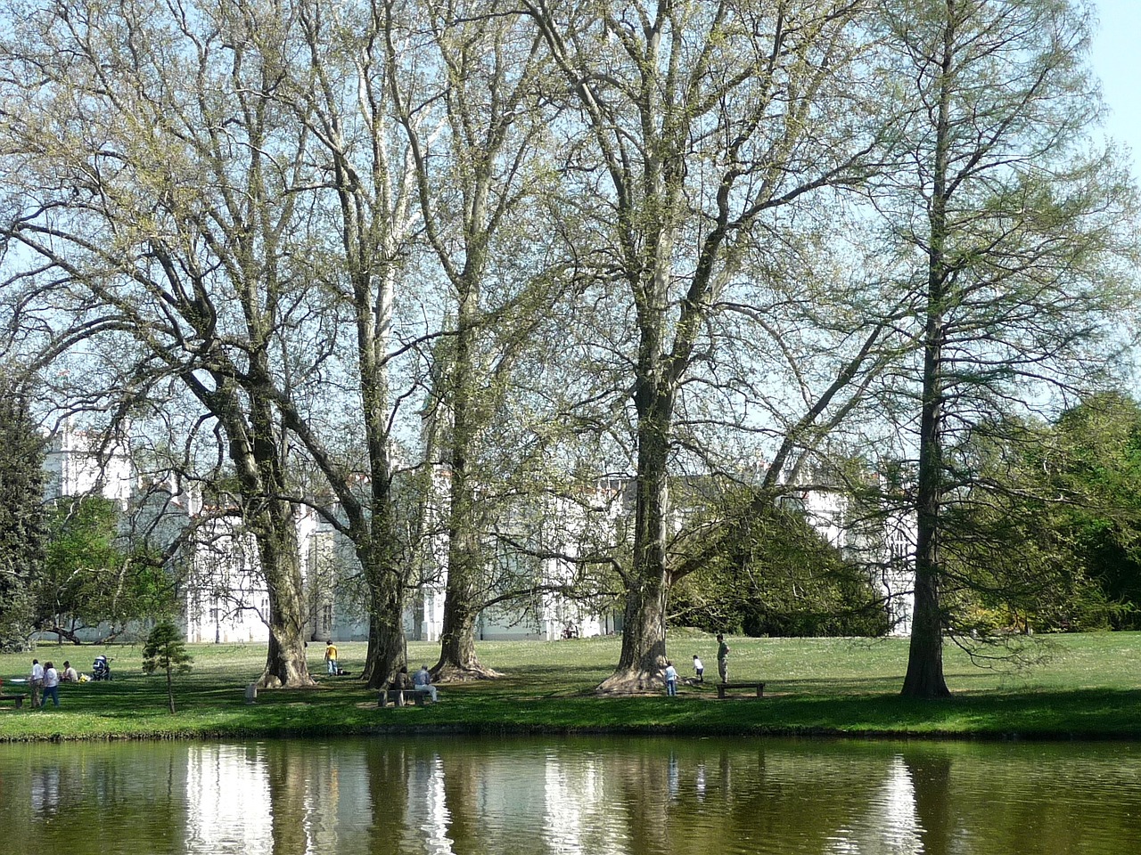 pearl river reflection spring free photo