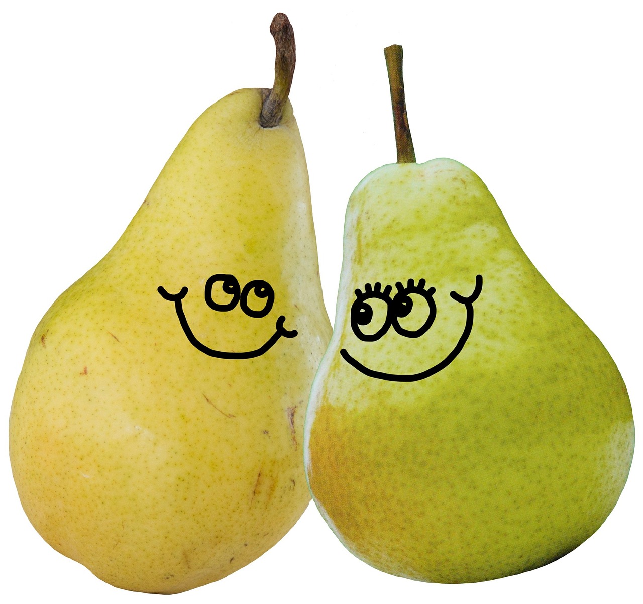 pears fruit food free photo