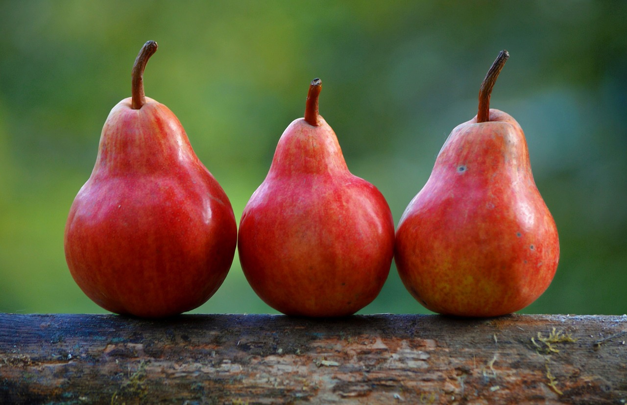 pears fruit diet free photo