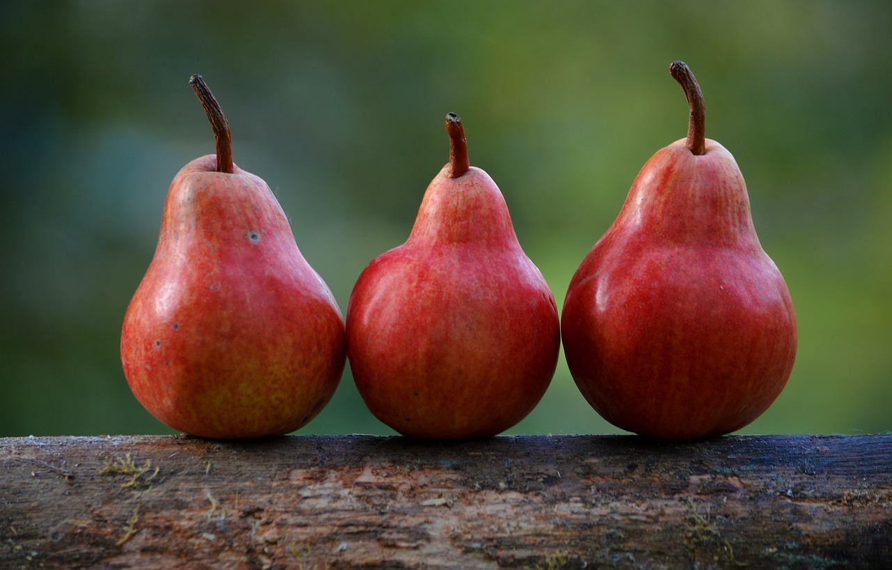 pears red branch free photo