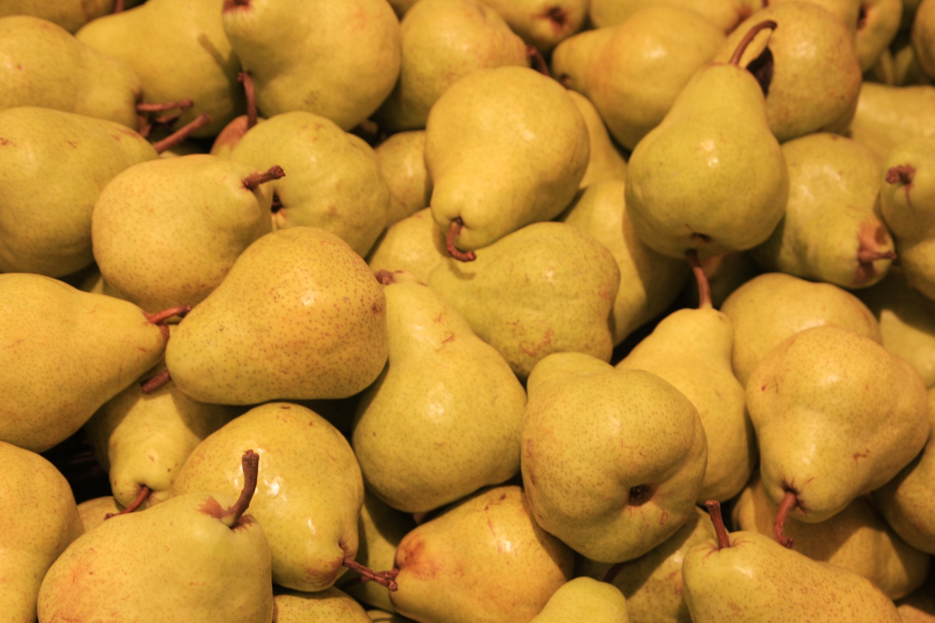 pear fruit pears free photo