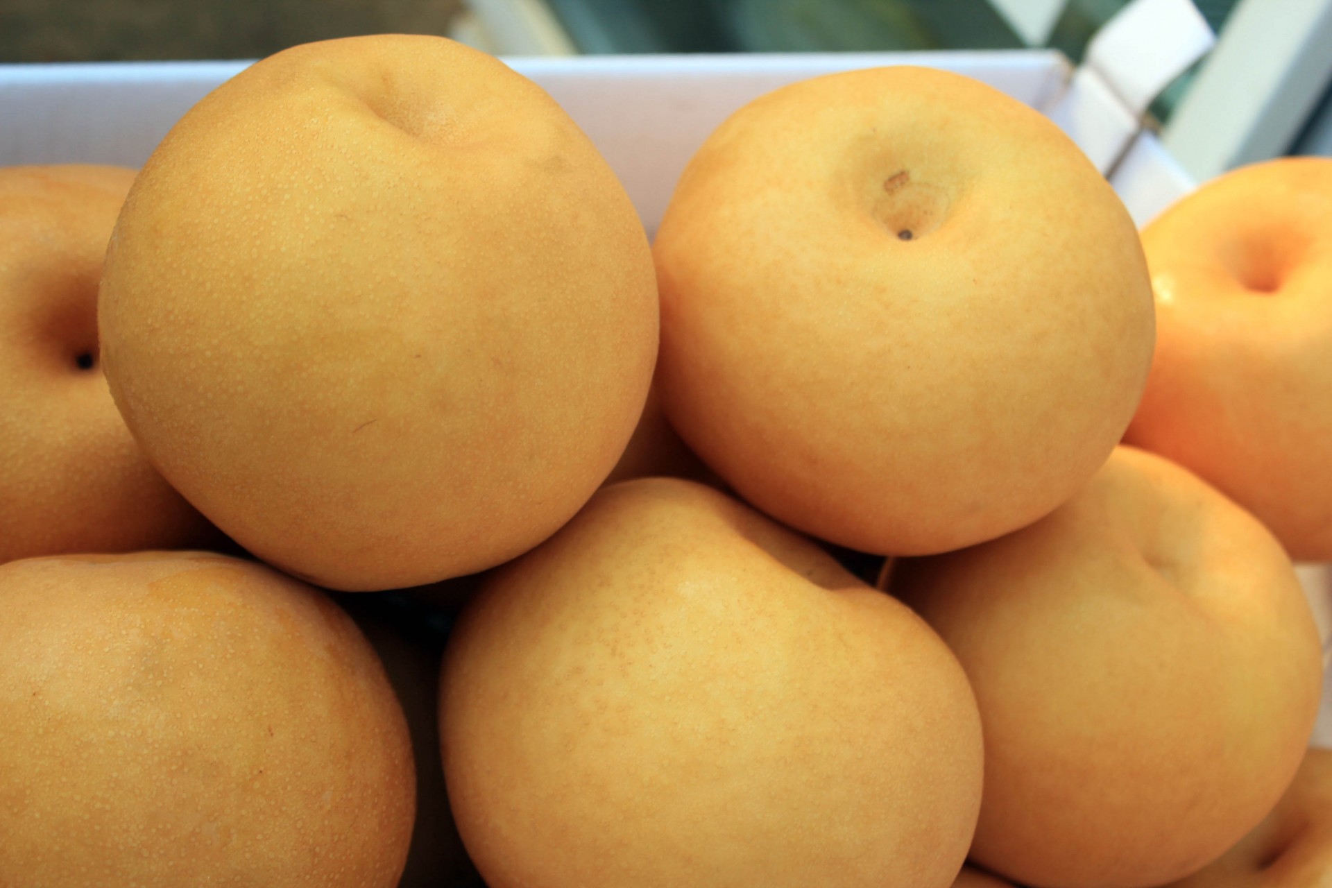 pears fruits round fruits free photo