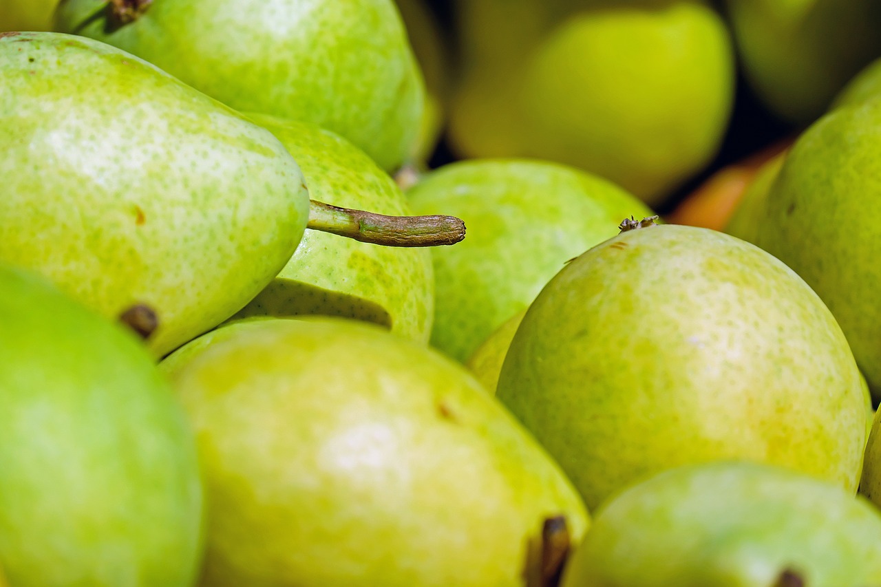 pears fruit fruits free photo