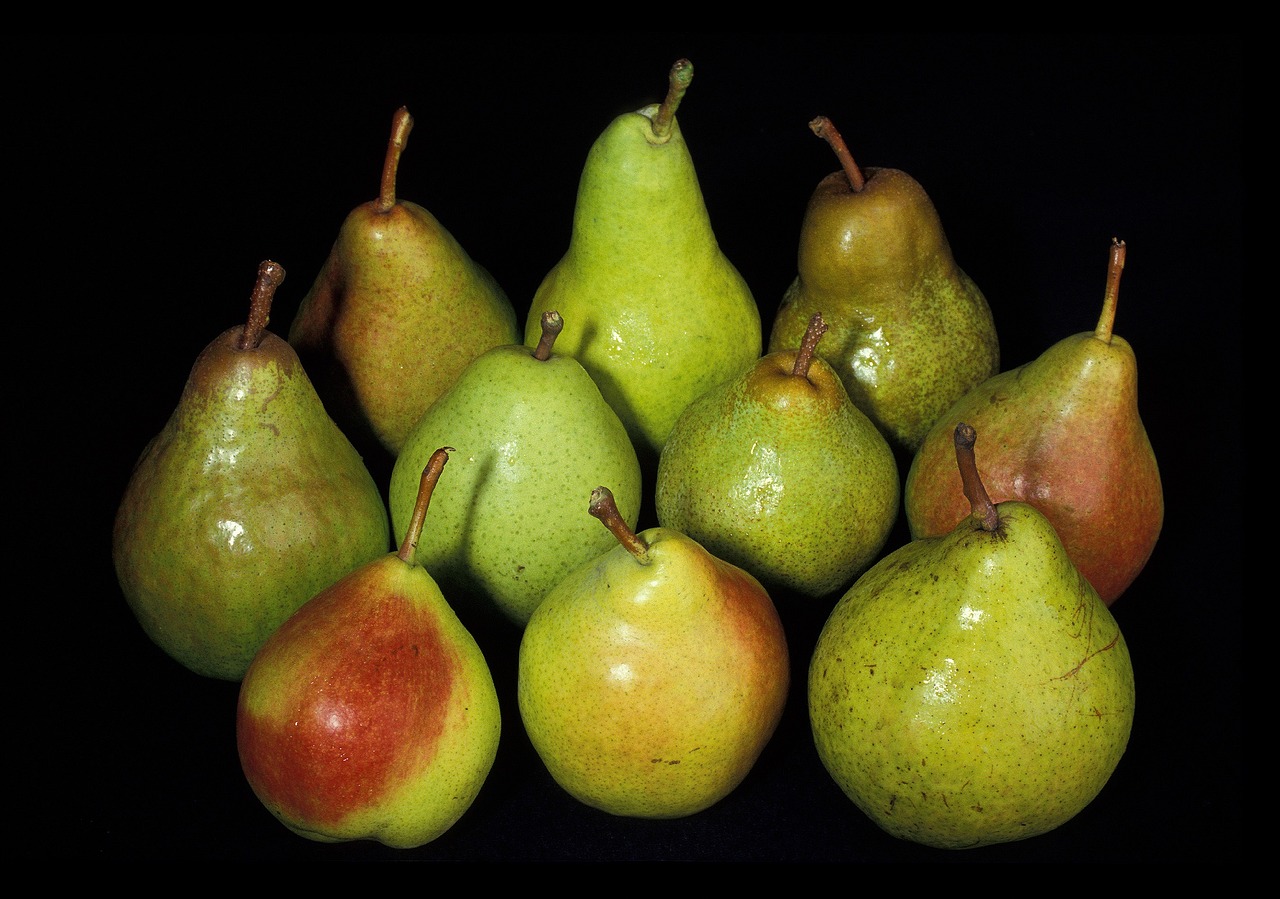 pears fresh harvest free photo