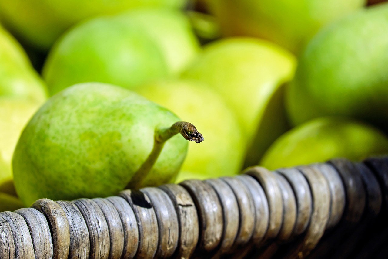 pears fruit fruits free photo