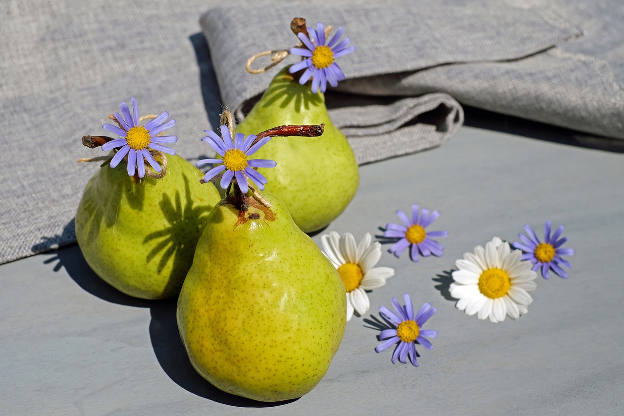 pears fruit fruits free photo