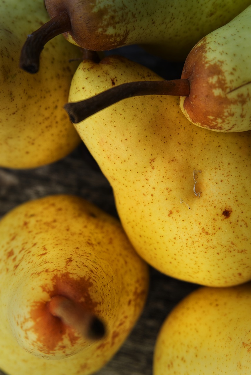 pears fruit dessert free photo