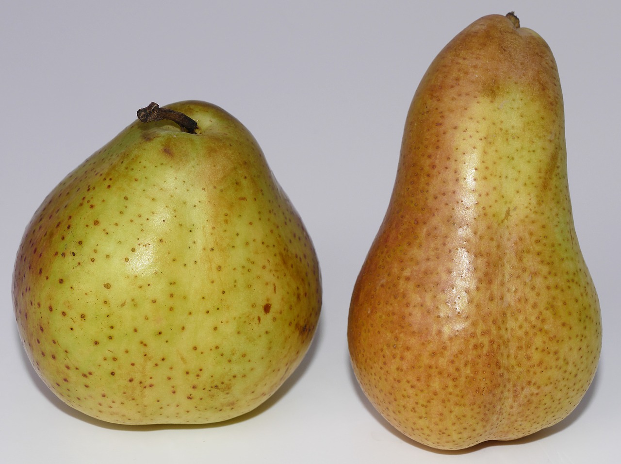 pears fruit pome fruit free photo