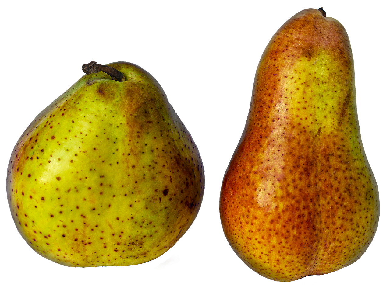 pears fruit pome fruit free photo